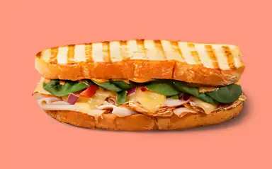 Southwest Chipotle Turkey Panini
